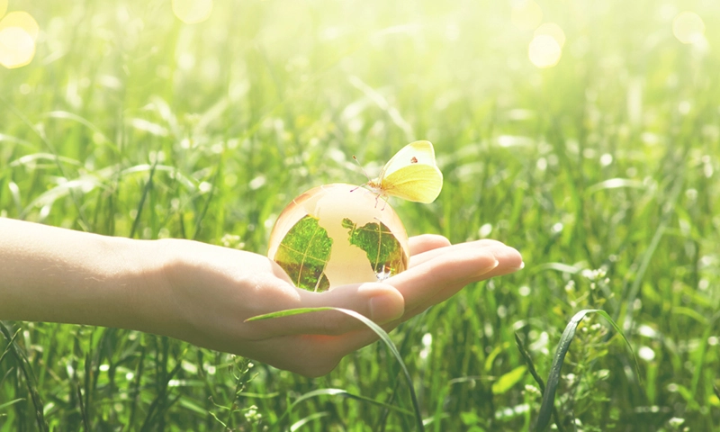 Earth crystal glass globe and buttrfly with yellow wings in woman's hand on green grass background. Saving environment and clean green planet concept.