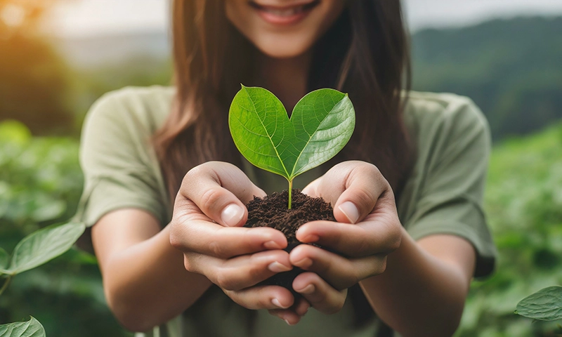 hands holding green heart leaves plant a planting trees loving the environment and protecting nature nourishing the plants and world
